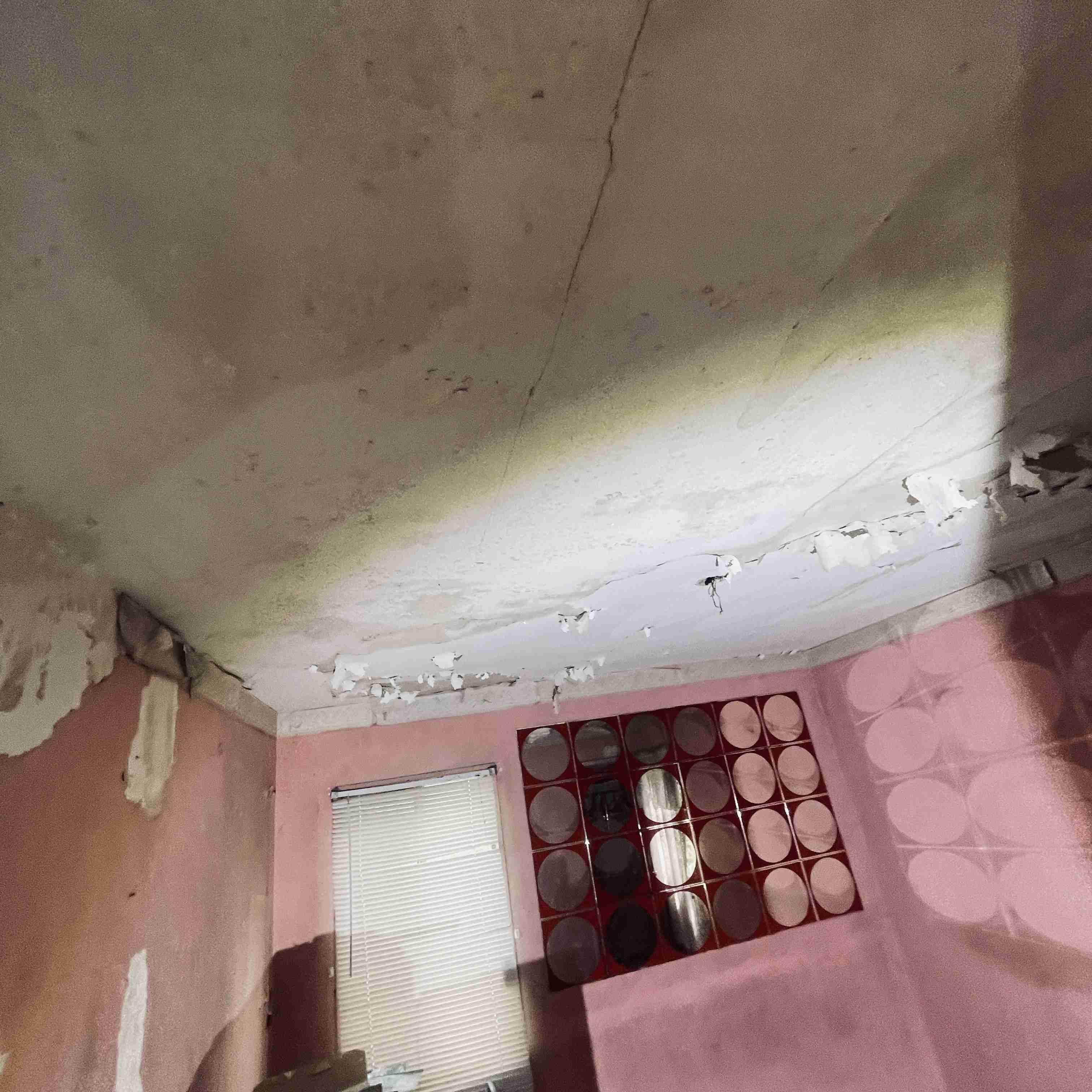 4277 TUXEDO (43).jpg